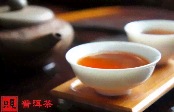 新 '如何有效清洗普洱茶壶，使茶味更醇厚的步骤与技巧'