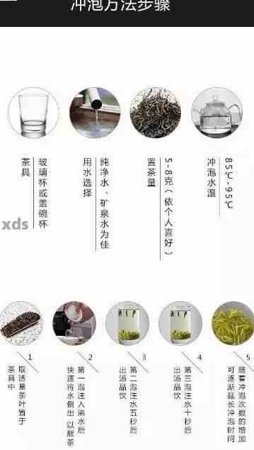 新探索刻度杯普洱茶的制作工艺及原料来源