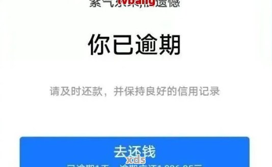 借呗逾期后，如何更大限度地保护余额宝账户？