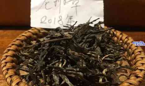 老推荐的普洱茶：真实体验还是虚假传？