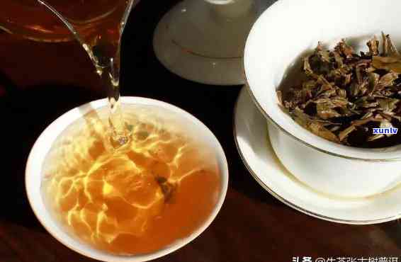 新普洱茶涩味的成因、种类及降涩方法全面解析