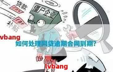 网贷逾期政策是真的吗还是假的：揭秘真实情况