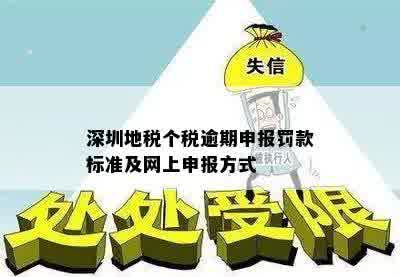 深圳个税逾期罚款及计算方式，首次逾期会如何处理？是否可以网上申报？