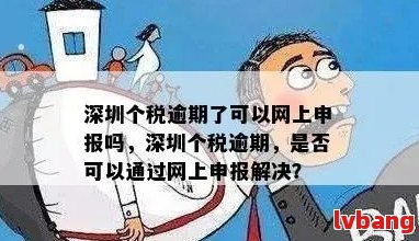 深圳个税逾期罚款及计算方式，首次逾期会如何处理？是否可以网上申报？