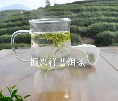 祥兴茶业：传承古法，打造茗品经典