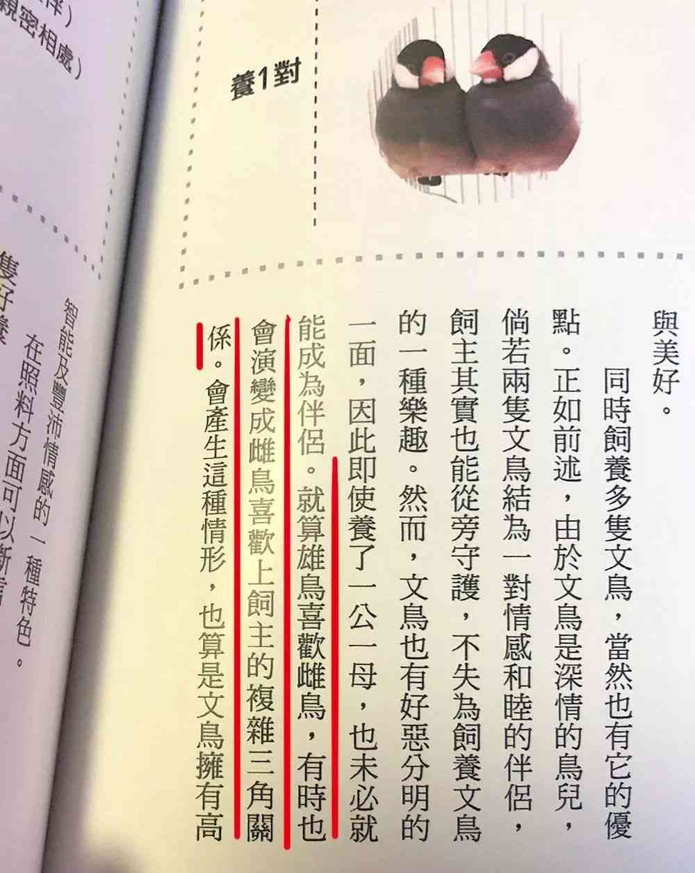 石中隐玉格在命格中的排名及其含义：探索这一神秘元素的深层意义与影响