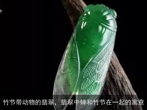 '翡翠竹节蝉寓意：象征吉祥与美好的佩戴对象'