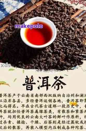 普洱茶的古代名称及其历渊源：了解普洱茶的前世今生