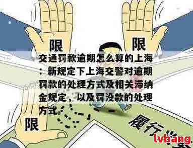 未按时支付罚款的解决办法及影响分析：详细情况说明