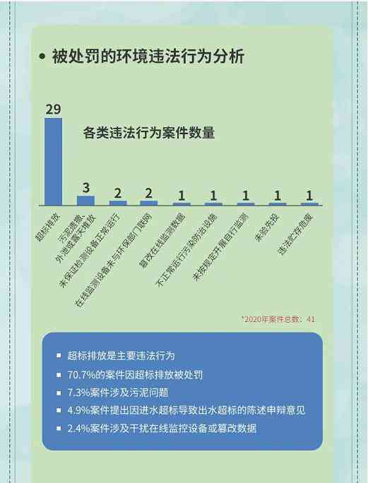 罚款情况说明文档 - 关于违规行为的处罚措及合理性分析