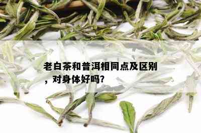 普洱茶和白茶有什么区别？它们都属于普洱茶吗？