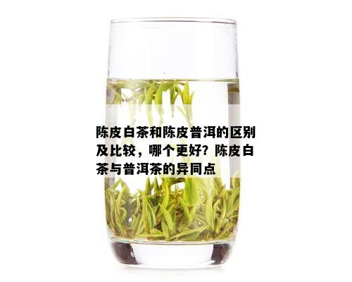 普洱茶、白茶的比较：两种茶叶有何异同？