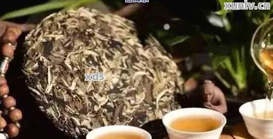 探寻普洱茶小仙女的神奇魅力：一款独特茶叶的故事