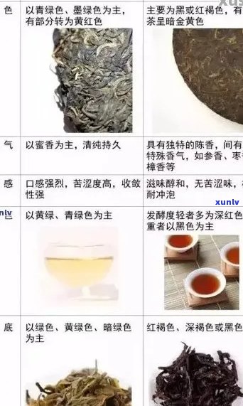 普洱生茶熟化指南：如何快速让新茶变老茶的全方位方法与技巧