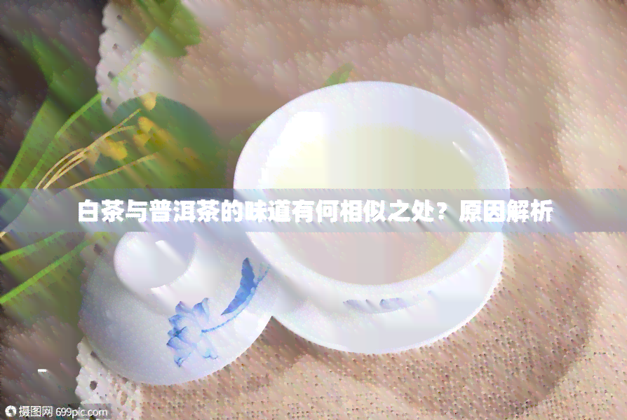 新 '普洱茶与白茶混饮产生的奇特味道探析'