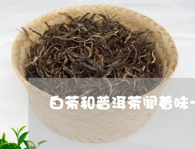 白茶喝着像普洱茶的味道