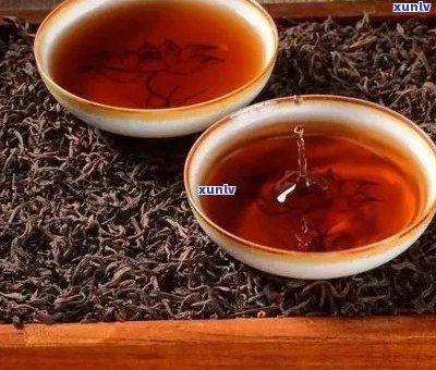 普洱茶和六堡茶：红茶还是绿茶？它们的独特韵味与区别解析