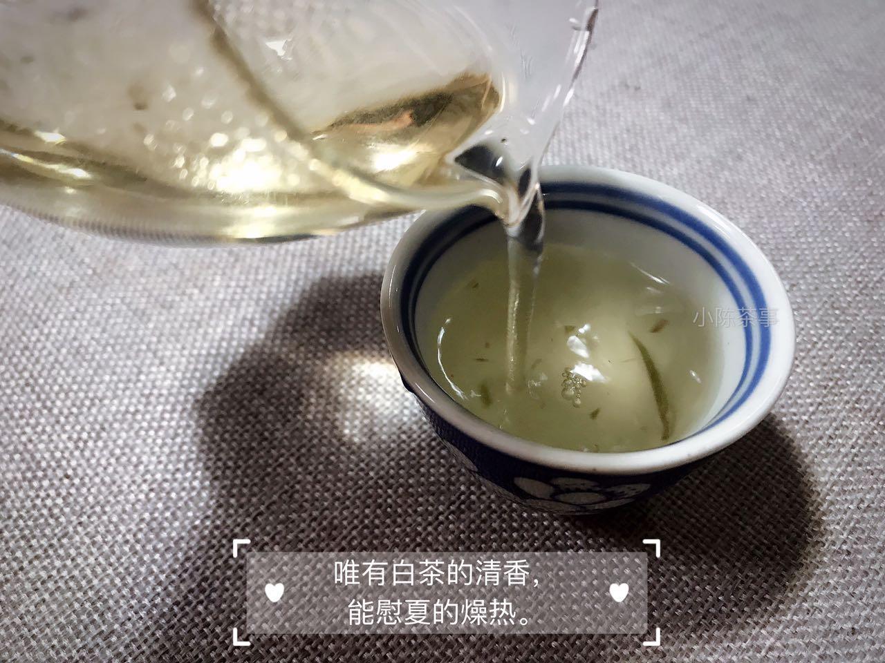 普洱茶和六堡茶是红茶还是白茶：探讨两种茶叶的分类问题。