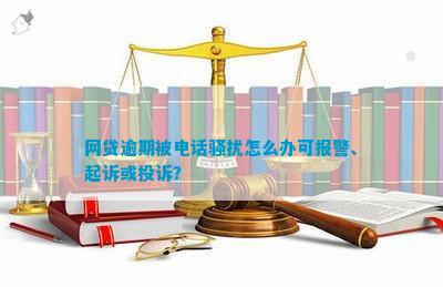 网贷逾期了可以报警吗？如何处理，是否有效？立案起诉平台可行吗？