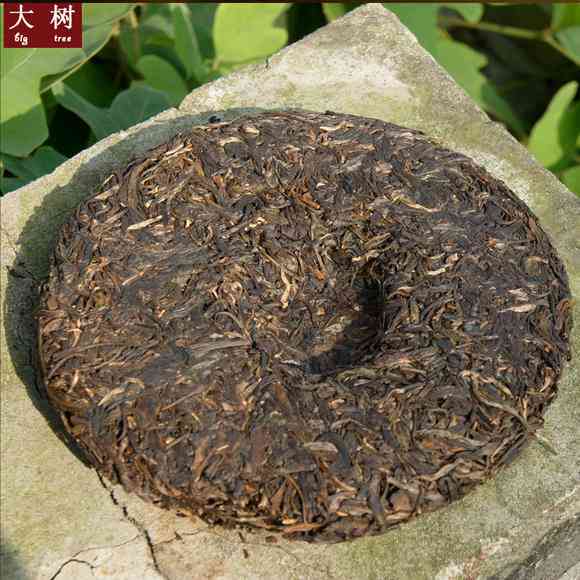 大树普洱茶饼3000g