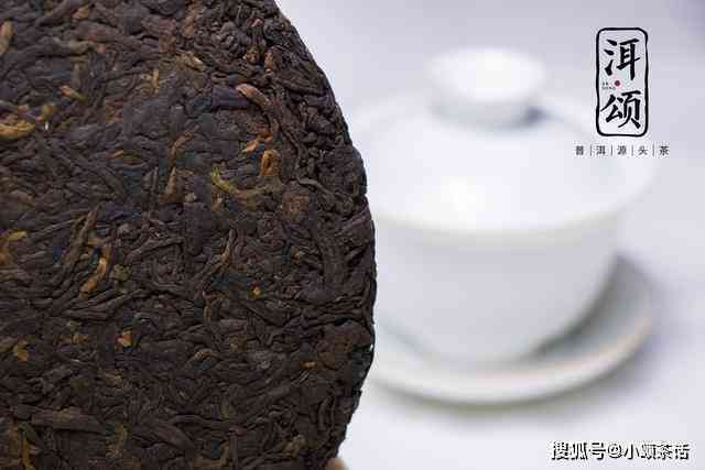 大树普洱茶饼3000g