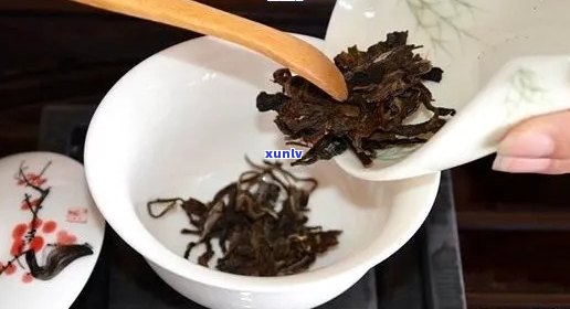 普洱茶放几克茶叶喝