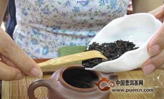 普洱茶放几克茶叶喝