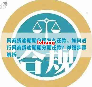 网商贷逾期后怎么协调分期付款：解决方法与协商策略