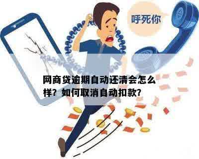 '网商贷逾期后怎么还款：解决办法和避免自动扣款'