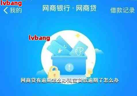 '网商贷逾期后怎么还款：解决办法和避免自动扣款'