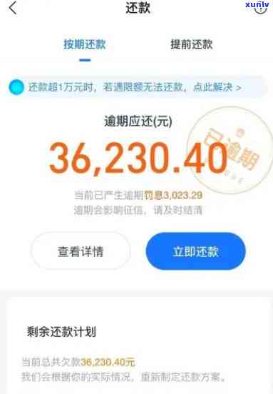 饿了吗逾期还款协商攻略：如何解决逾期问题并与平台达成一致