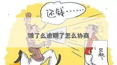 '饿了吗逾期还款协商'如何操作，逾期多久可以再次借款？