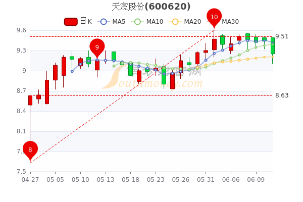 天山翠价格：了解其价值与市场走势