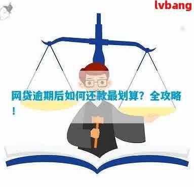 网贷逾期一次性还款后，是否可以取消或撤销还款操作？如何处理？