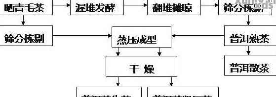 普洱茶饼茶生产工艺流程