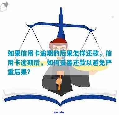 诚学信付逾期未还款的全面后果解析及处理方法，让你清楚了解如何应对