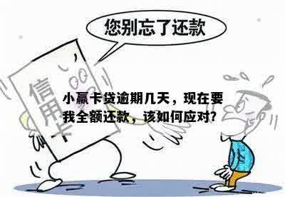 小赢逾期全额还款？安全吗怎么办？