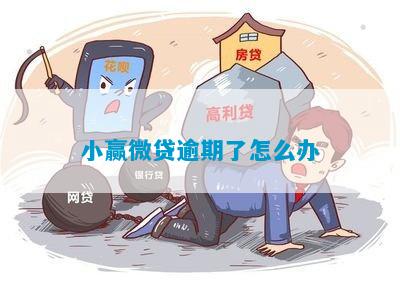 小赢撤销逾期需要多久