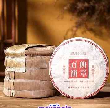 普洱茶200g:品种、品质、功效、冲泡方法、存指南，一文全面解惑！