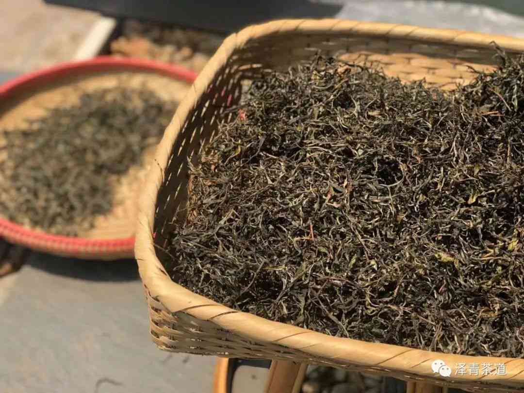 普洱茶中最甜的是哪款茶：揭示甜度更高的普洱茶种类及