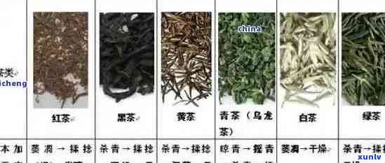 普洱茶甜度大的综合比较和推荐：哪款茶更甜？