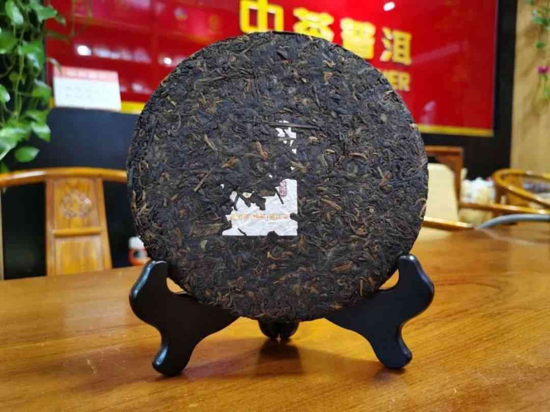 03中茶易武正山普洱茶：品质与陈化的艺术，探寻千年古树的秘密