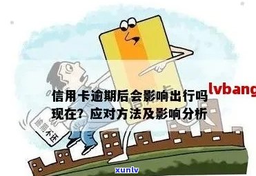 如何查询信用卡的逾期情况，避免信用受损？