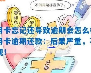 全方位指南：如何查询信用卡逾期记录，理解逾期影响以及避免逾期策略