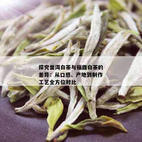 福鼎白茶与普洱茶：它们之间的相似之处和差异，如何选择？