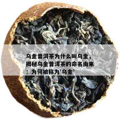 乌金普洱茶是什么意思？乌金普洱茶的功效、作用及命名由来解析