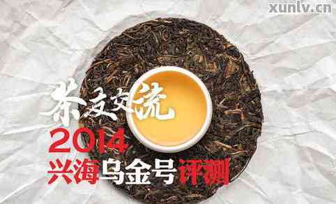 云南普洱茶乌金号501:古树韵味，醇厚滋味，珍藏品鉴