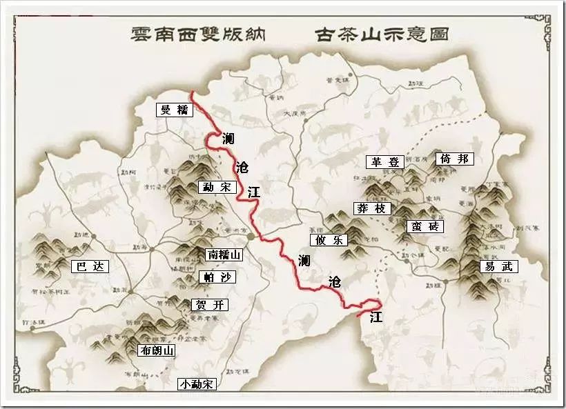 普洱茶产区的全方位解析：从地理、气候到茶叶特点，一网打尽！