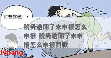 逾期未申报的解决策略：如何应对和避免税务问题？