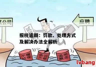 逾期未申报的解决策略：如何应对和避免税务问题？